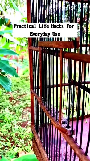 Top DIY Gadget Hacks for Everyday Use