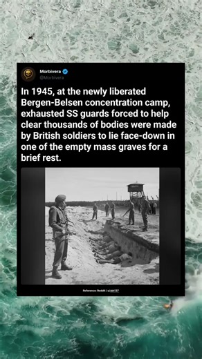 The SS Guards in the Mass Grave #history #military #movie #ww2