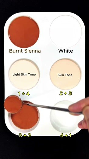 Create 4 colors from 2 colors: Burnt Sienna + White #asmr #colormixing #mix #colors #mixing