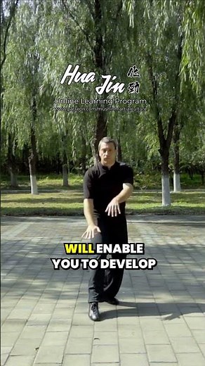 DEVASTATING BAGUA ZHANG PALMS - Tiao Zhang #qigong #chinamartialarts #baguazhang