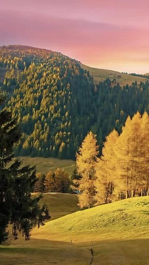 Stunning Autumn Landscapes: Nature's Colorful Display