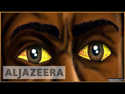 The Fly Catchers fighting river blindness