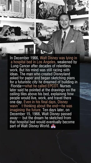 🏰 Walt Disney’s Final Dream From His Hospital Bed