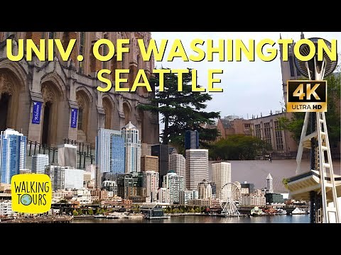 University of Washington Campus Tour | 4K Walking Tour