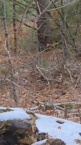 So close but yet so far! | Ben Paddock