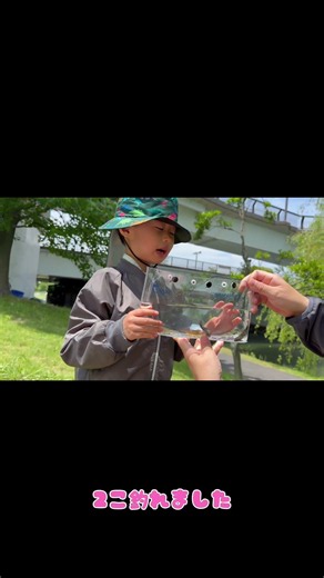何匹釣れたかな？#テナガエビ釣り #ハゼ釣り