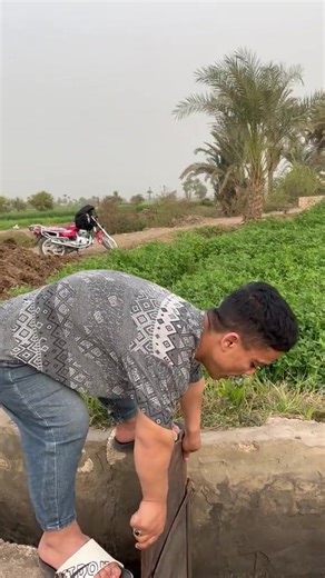 التعامل مع بلدلار بشكل مضحك