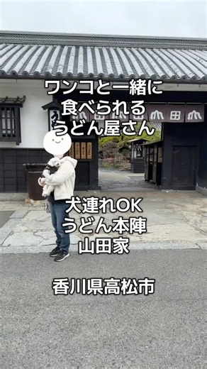 愛犬と一緒に🐶うどん屋さんへ［香川県高松市］うどん本陣 山田家 #犬とお出かけ #トイプードル #香川県 #うどん #犬連れ