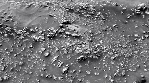 250K views · 2.4K reactions | NASA's Spirit Mars rover found mysterious growths on Mars that could be the biggest discovery in science. | Business Insider | Facebook