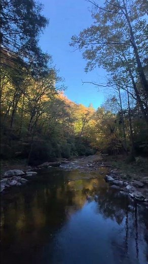 Fall Magic in The Smoky Mountains
