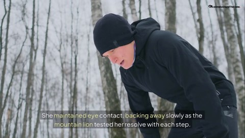 These 10 Wild Encounters Got Way Too Close!😱