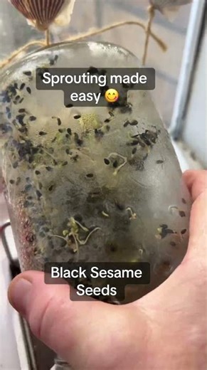 Tiny seeds =huge benefits