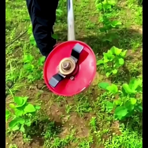 CASTA 1pc Weeder Plate Blade, Lawn Mower Grass Eater Trimmer - TikTok Shop Philippines