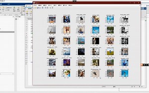 基于Googlenet深度学习网络的人员行为动作识别matlab仿真