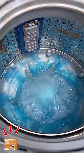 EcoPure Lab Washing Machine Cleaner: 12 Month Supply