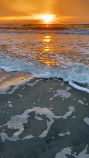 9/26/25 ☀️Sunrise 6:50 am 🌅 Sunset 6:50 pm equal day night = Autumn Equinox 🌊 High Tide 11:20 am 🐚 Low Tide 6:03 pm 🌞 Temp 79* high 🌬️ Winds 3 mph NW 🌊 Ocean 71* 🏖️ 100% 🌝 Full Moon October 6 Beauty heals the soul 🤍 | The Wildwood Sun by the Sea Magazine