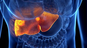 'Liver detox is unscientific': Here's how to keep the liver healthy