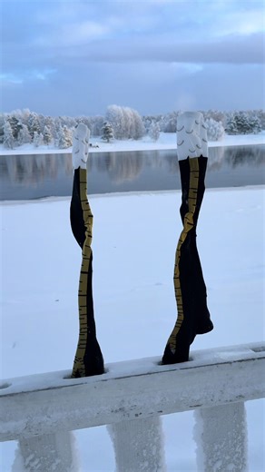 凍らせてみた。 #Finland #フィンランド #チキンレッグ#海外旅行