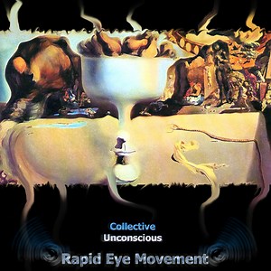 Rapid Eye Movement Concert & Tour History  | Concert Archives