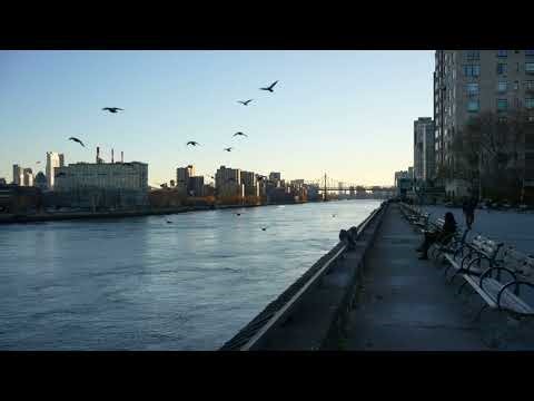 519 E 86th Street #6D