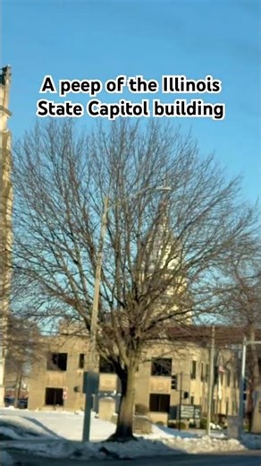 A peep of the Illinois State Capitol building #illinois #springfieldil #capitolbuilding #downtown