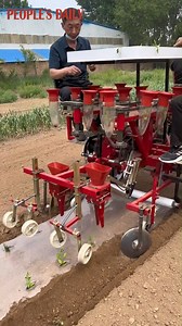 Technology makes seedling planting easy and efficient! | People's Daily, China