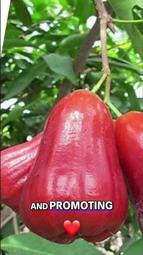 Rose Apple Benefits: Diabetes Control & Heart Health #shorts