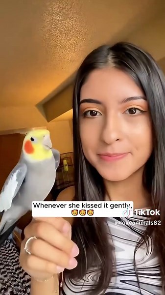 Parrot Lays Eggs: A Delightful Moment in Nature