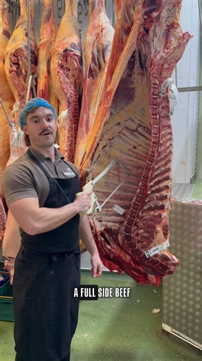 30K views · 353 reactions | This is how we split the side down into two pieces, the forequarter and the hindquarter. Good luck carrying it as one whole piece  - - - #food #explore #butcher #meat #beef #protein #butchery #carnivore #reels | Maddock Kembery Meats | Facebook