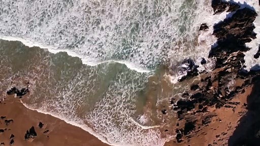 Extended marine heatwave to blame for SA’s toxic algal bloom