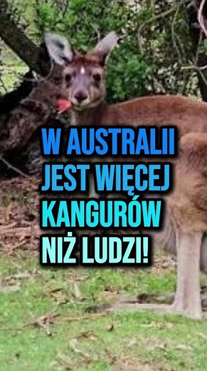 🌍 3 Ciekawostki Geograficzne, Które Mogą Cię Zaskoczyć! #14