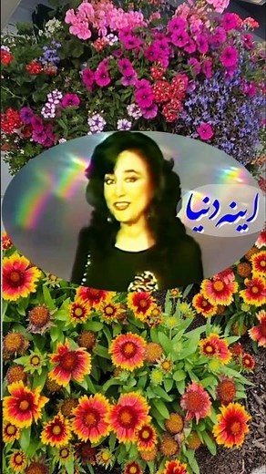 حمیرا، آهنگ اینه دنیا، موسیقی ایرانی، Homeyra, Iranian Music