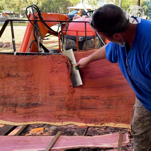 Cutting an insane cedar log Partner: Triple L Rustic Designs IG: https://www.instagram.com/triplelrusticdesigns/ FB: https://www.facebook.com/triplelrusticdesigns YT: https://www.youtube.com/c/TripleLRusticDesigns/videos | Earth Wonders