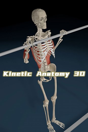 Kinetic Anatomy 3D STEAM digital for Windows