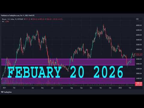 TESLA Stock Analysis (TSLA)| FEBUARY 20 2026 | TESLA Stock Predictions Today (TSLA) | Buy Now