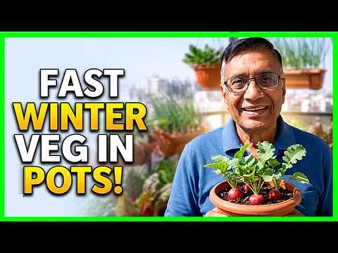 Best Winter Vegetables to Grow in Pots | Winter Vegetables Container Gardening