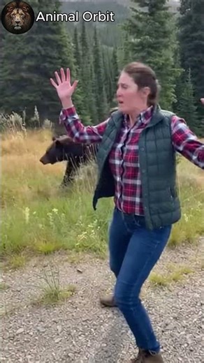 Wild Bear Tries to Attack Girl in the Woods