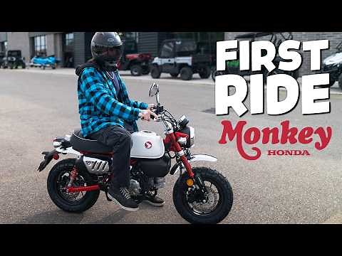 Honda Monkey 2025 Ride Review | Real-World Test Ride & Impressions