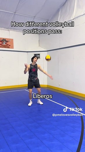 Understanding Volleyball Positions: Ball Control and More