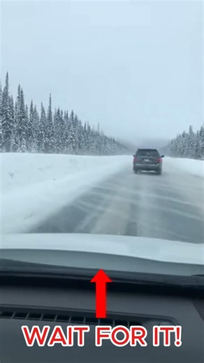 Two Moose Run Beside SUV on Icy Alaska Highway Dashcam