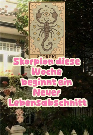 Skorpione, diese Woche beginnt ein neues Kapitel. ✨ #skorpion #horoskop #astrologie