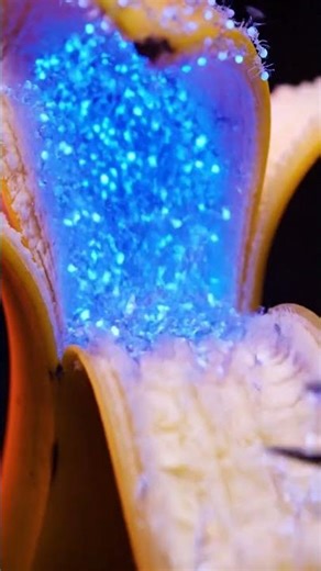 Installing one "small" NPM package... 🍌🐜 #asmr #satisfyingvisuals #ai #coding #machinelearning