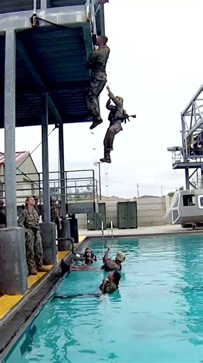 Military Daily #30 Marines Swimming