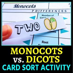 Monocots vs. Dicots  - Card Sort Activity | Printable PDFs | 3 Options