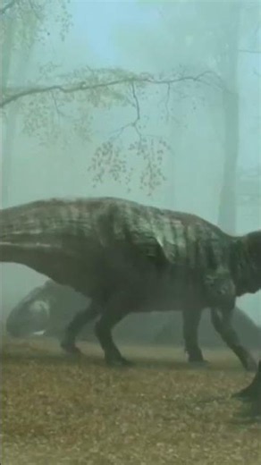 How Humans Lived 1.5 Million Years Ago - Since the First Era of MankindSave the Animals