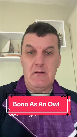 Just me doing an impression of Bono if he was an owl 🦉 #owl #bono #u2 #fyp