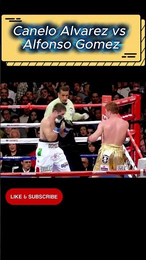 Canelo Alvarez vs Alfonso Gomez | Brutal TKO Finish 🔥 Boxing Highlights HD