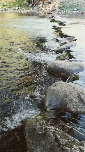 Blue River in Silverthorne, CO Rocky Mountain High Country
