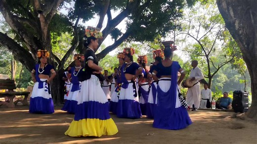 2K views · 37 reactions | Mauli Dance Tharu Cultural Programme Megauli❤️❤️❤️ #orchidschool | Orchid School | Facebook