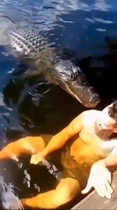 113K views · 2.8K reactions | พี่เขาเห็นรึป่าวตัวอะไรว่ายมา รึคิดว่าแมวน้ำ #ohno | Arr Panicha | Facebook